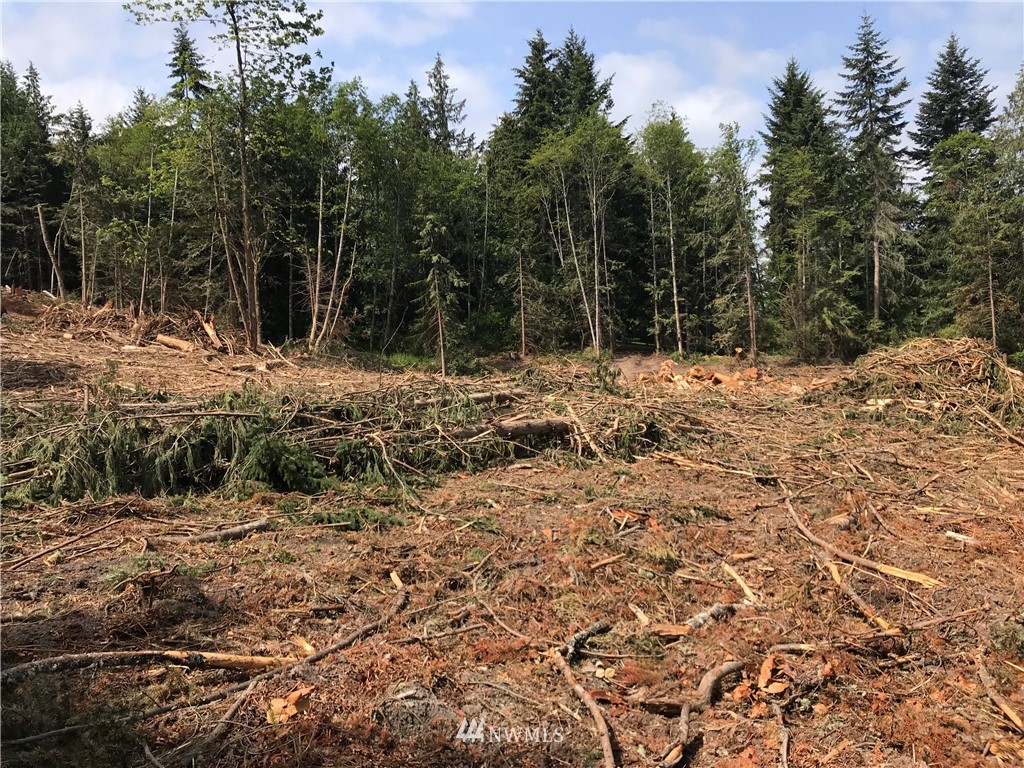 0 Bravo Road Port Angeles, WA 98362 - Photo 18 of 18