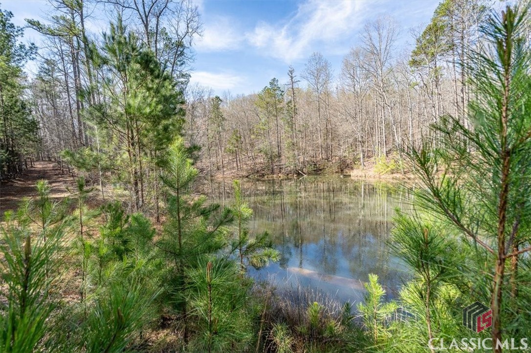 2247 Cane Creek Road Athens, GA 30607 - Photo 66 of 68