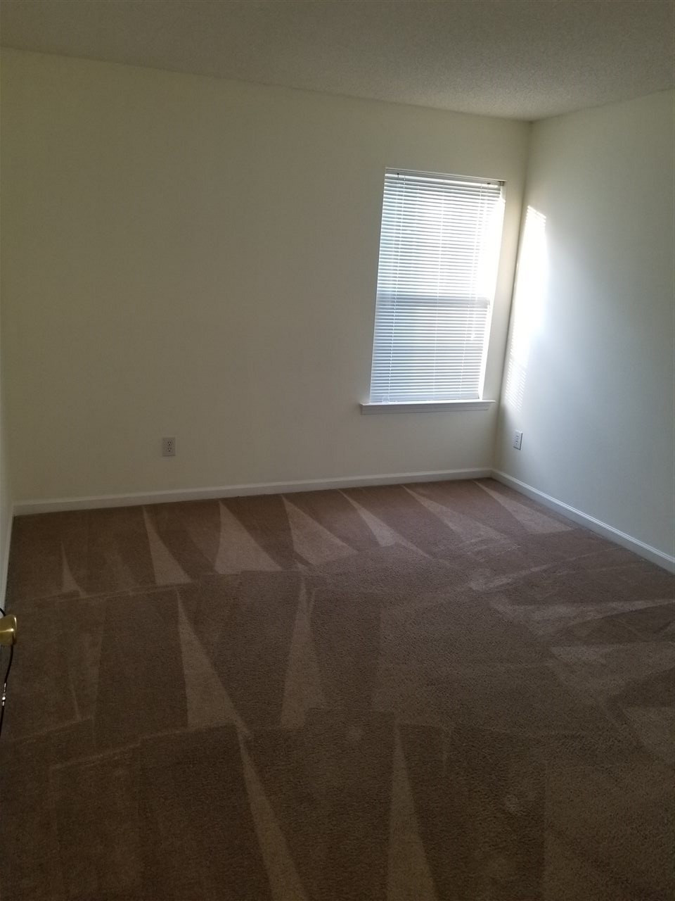 3348 Marshlane Way Raleigh, NC 27610 - Photo 9 of 11 Photo 9