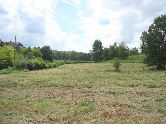 4 Cottonport Road Dayton, TN 37321 - Photo 7 of 27 02-DSC00105