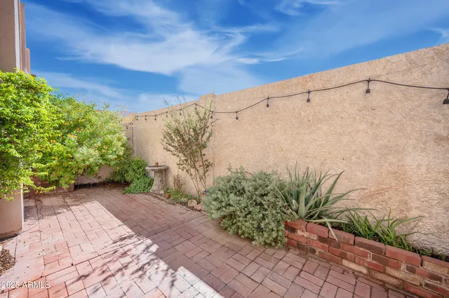 a view of a backyard