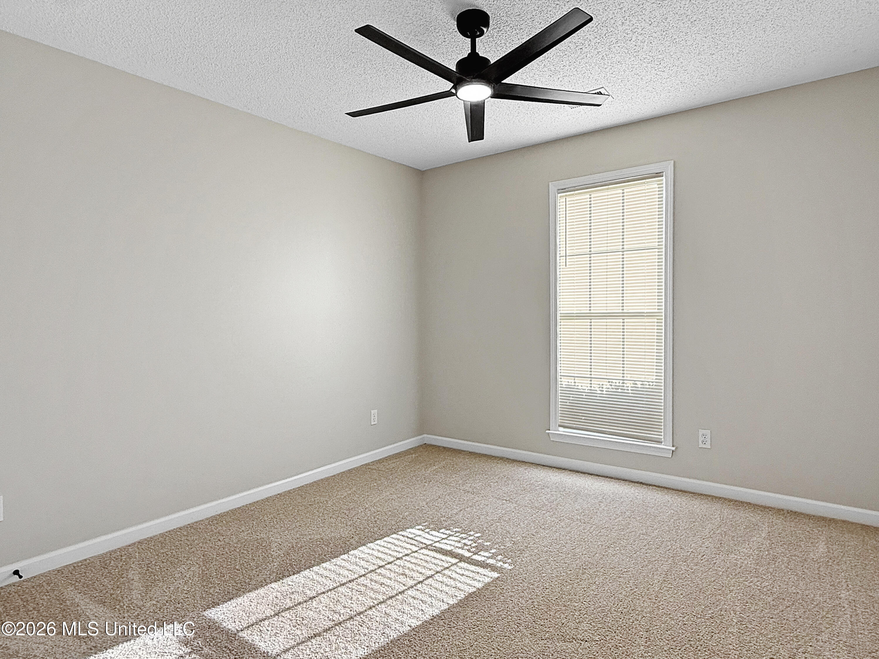 7392 Acree Lane Olive Branch, MS 38654 - Photo 13 of 24 IMG_7542