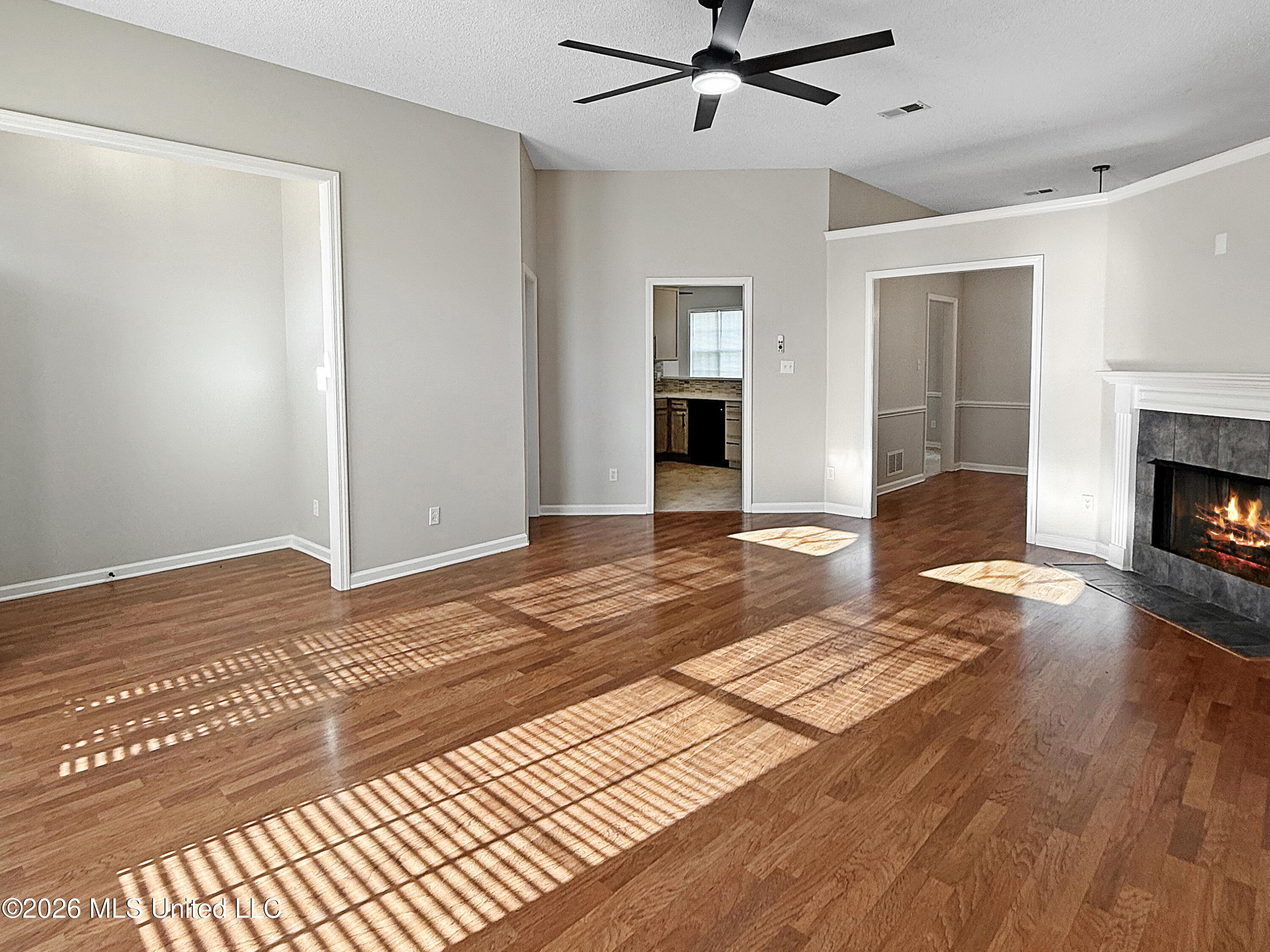 7392 Acree Lane Olive Branch, MS 38654 - Photo 4 of 24 IMG_7533