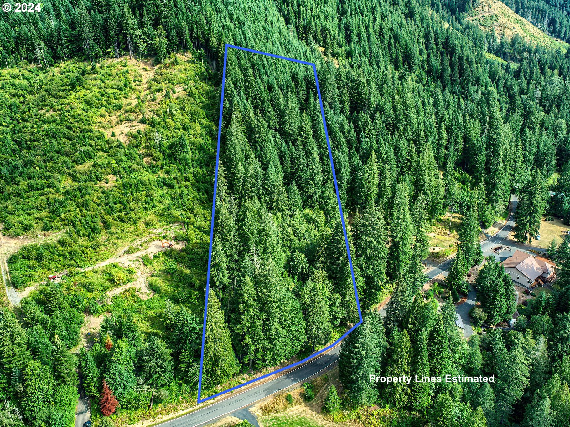 Bear Creek Road Carson, WA 98610 - Photo 1 of 8