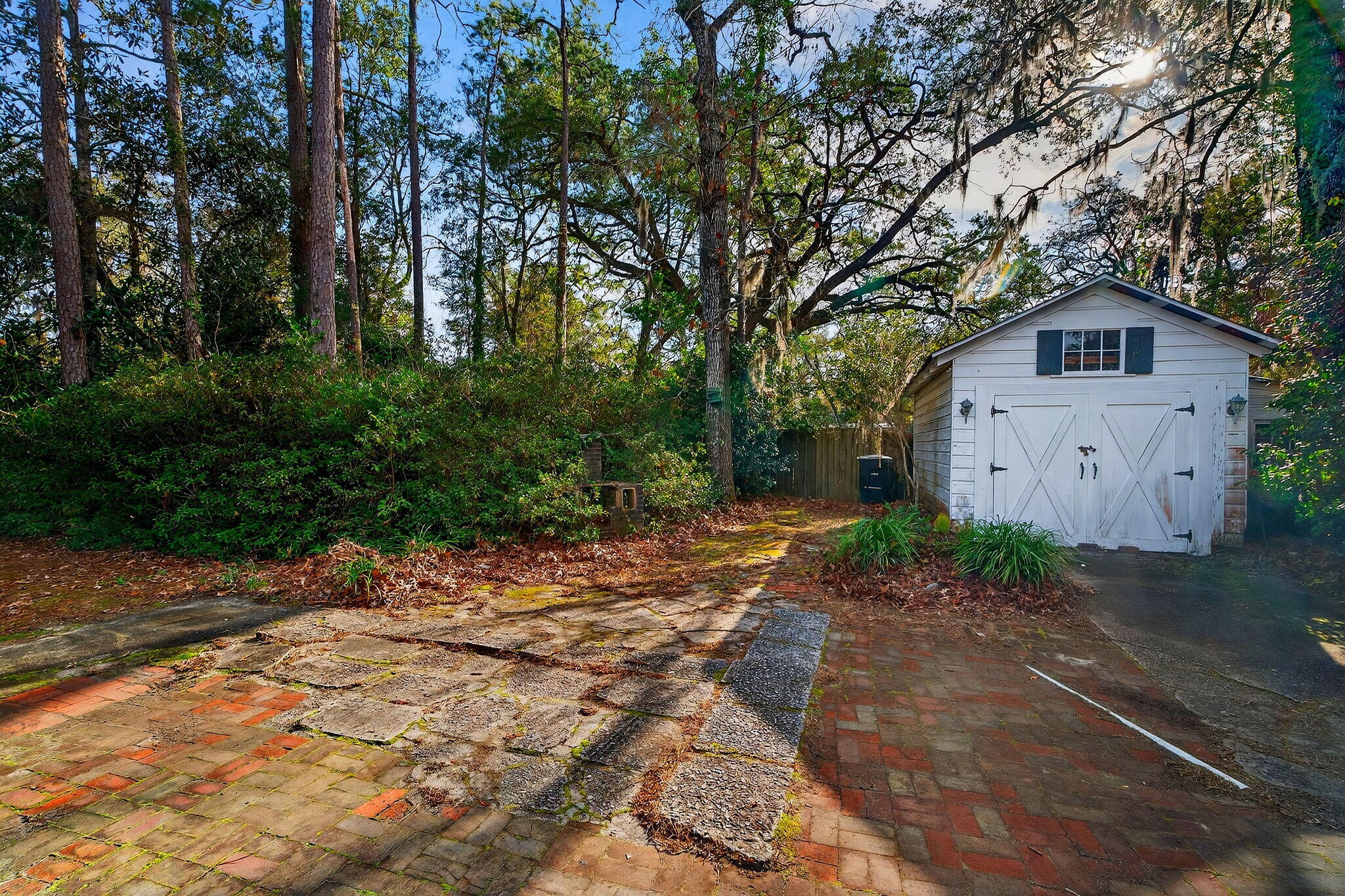 704 Carn Street Walterboro, SC 29488 - Photo 34 of 49 41-web-or-mls-_DSC0693