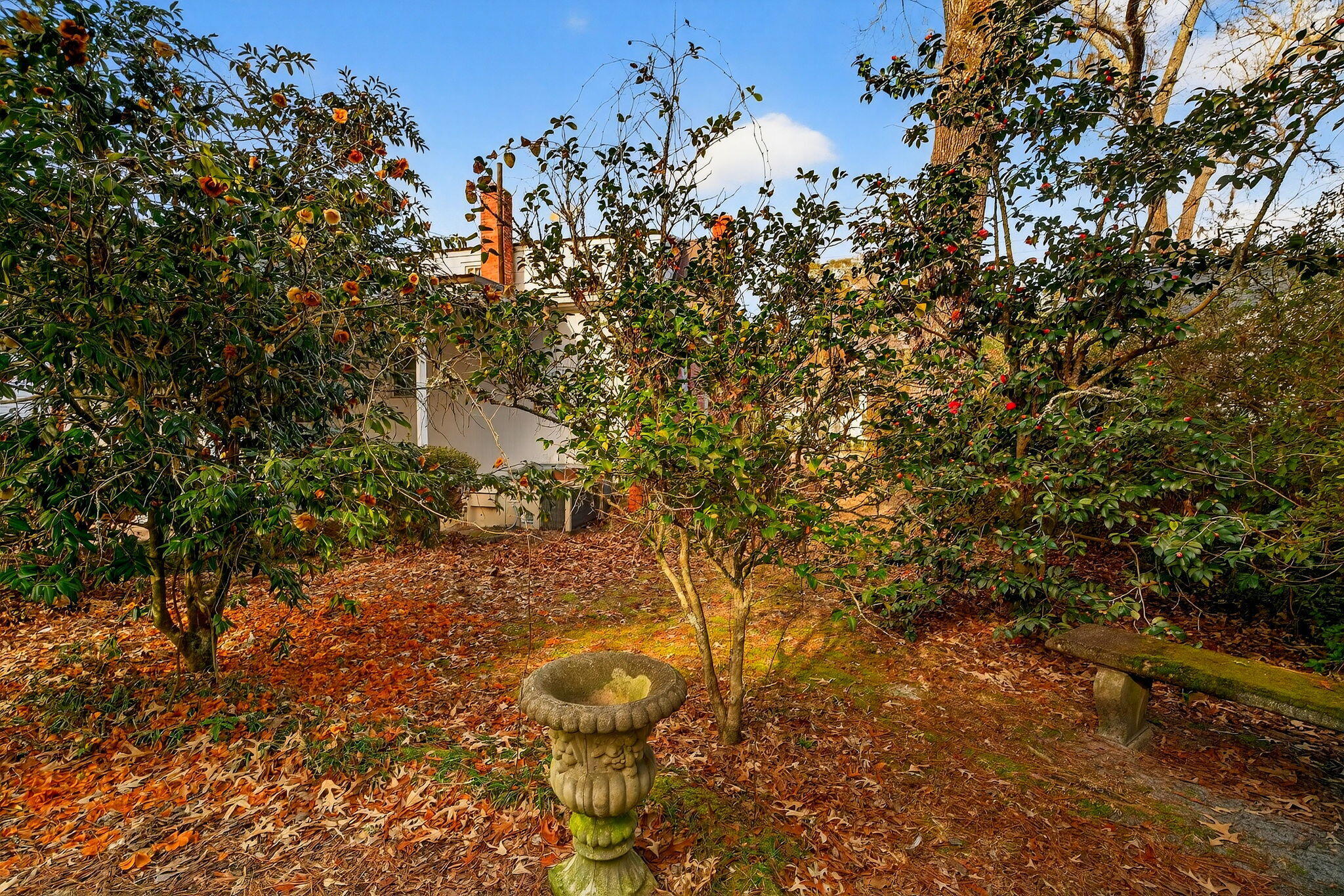 704 Carn Street Walterboro, SC 29488 - Photo 35 of 49 43-web-or-mls-_DSC0706