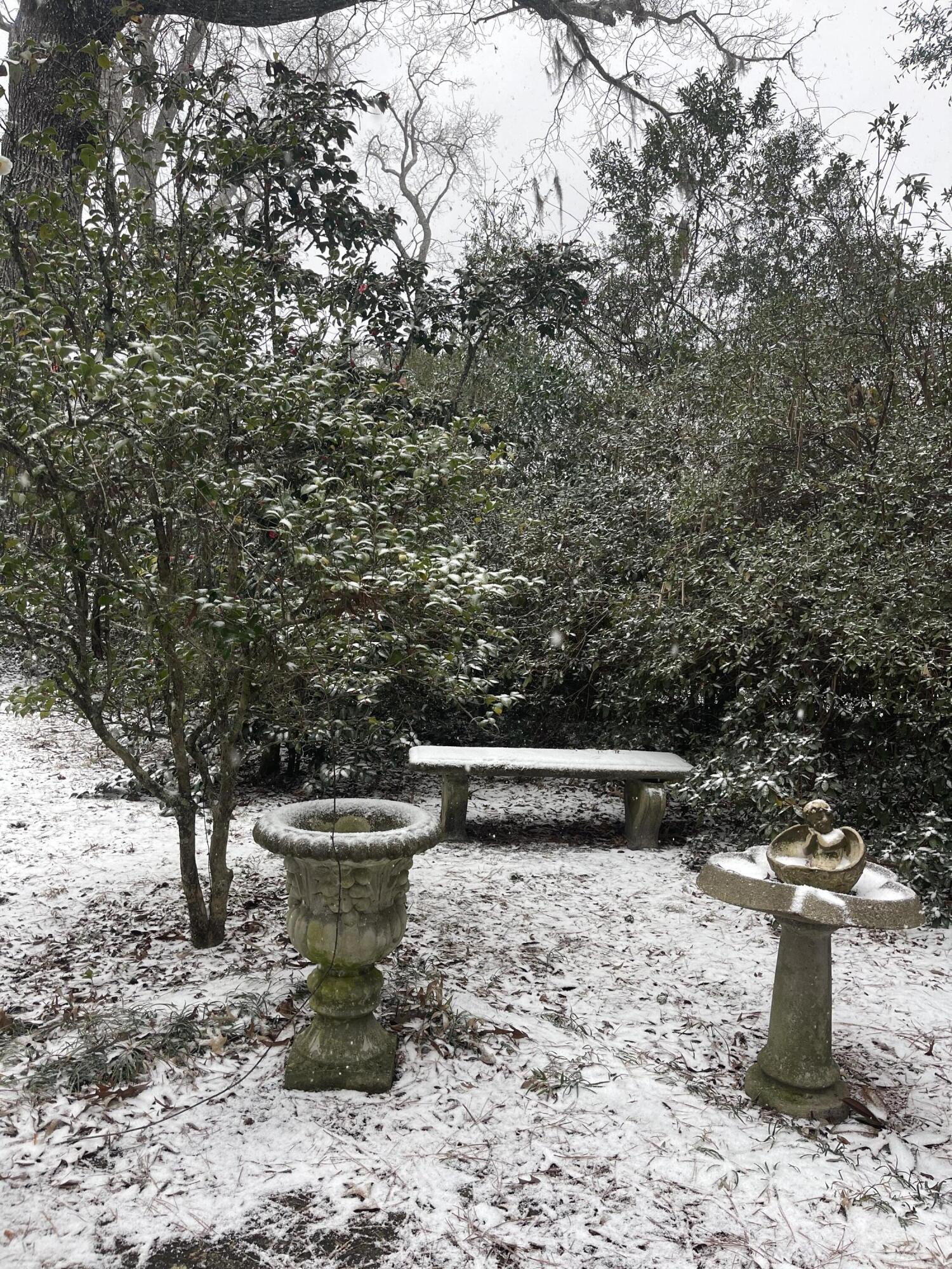 704 Carn Street Walterboro, SC 29488 - Photo 36 of 49 IMG_9365