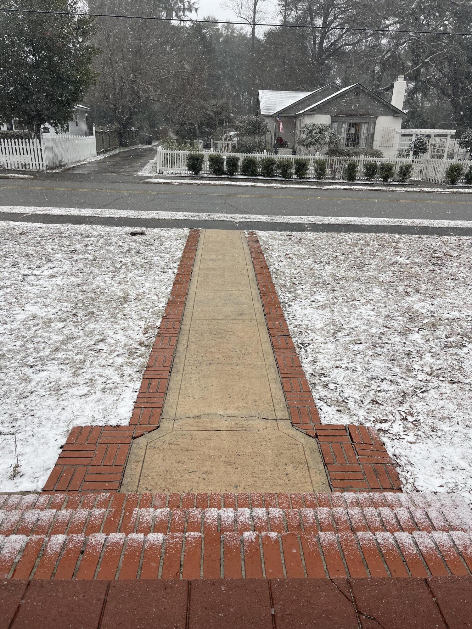 704 Carn Street Walterboro, SC 29488 - Photo 48 of 49 IMG_9376