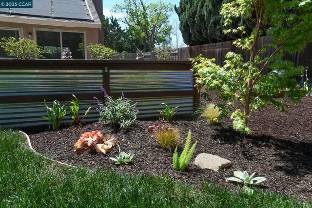 a view of a backyard with plants