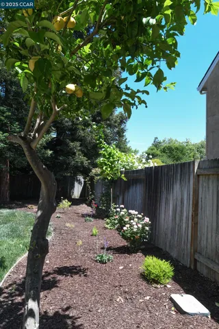 a view of a garden with wooden fence