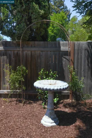 a view of a backyard with plants