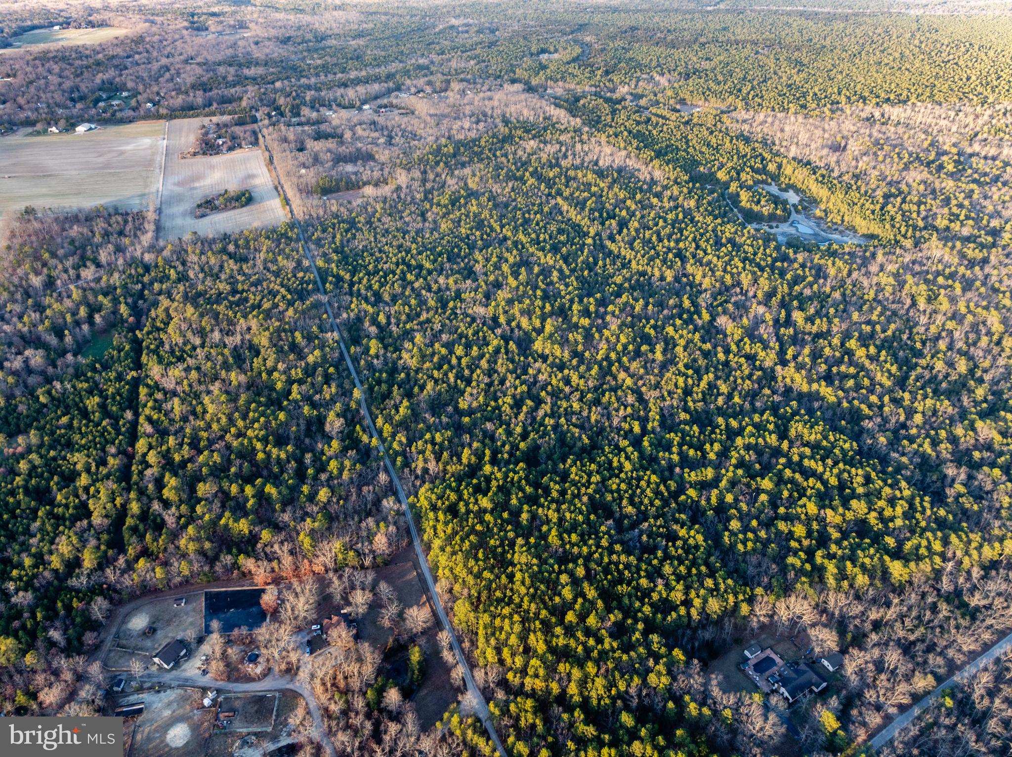 0 Chatsworth/butterworth's Bogs Road Tabernacle, NJ 08088 - Photo 3 of 7
