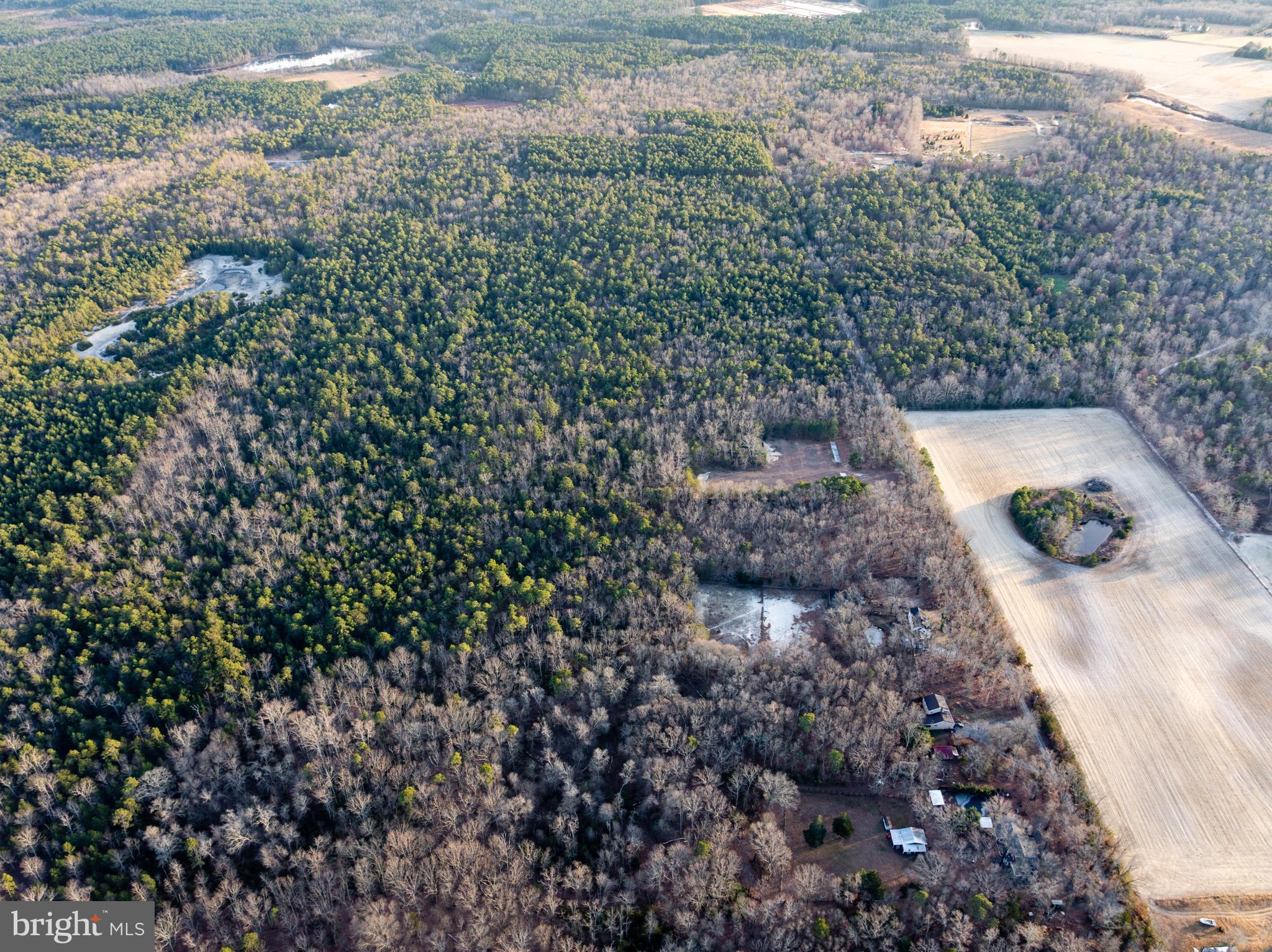 0 Chatsworth/butterworth's Bogs Road Tabernacle, NJ 08088 - Photo 6 of 7 a view of a yard with plants and trees