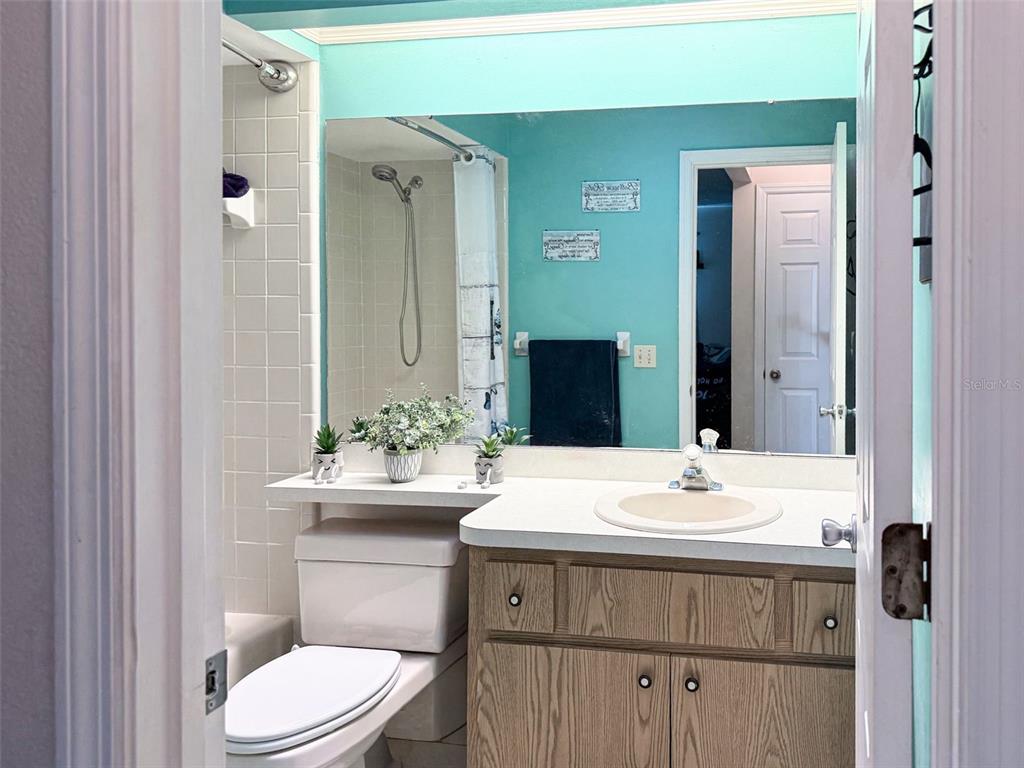 202 Bryan Street Eustis, FL 32726 - Photo 21 of 53 a bathroom with a sink a toilet and shower