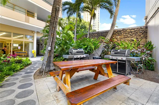 a view of a patio with chairs and a potted plant