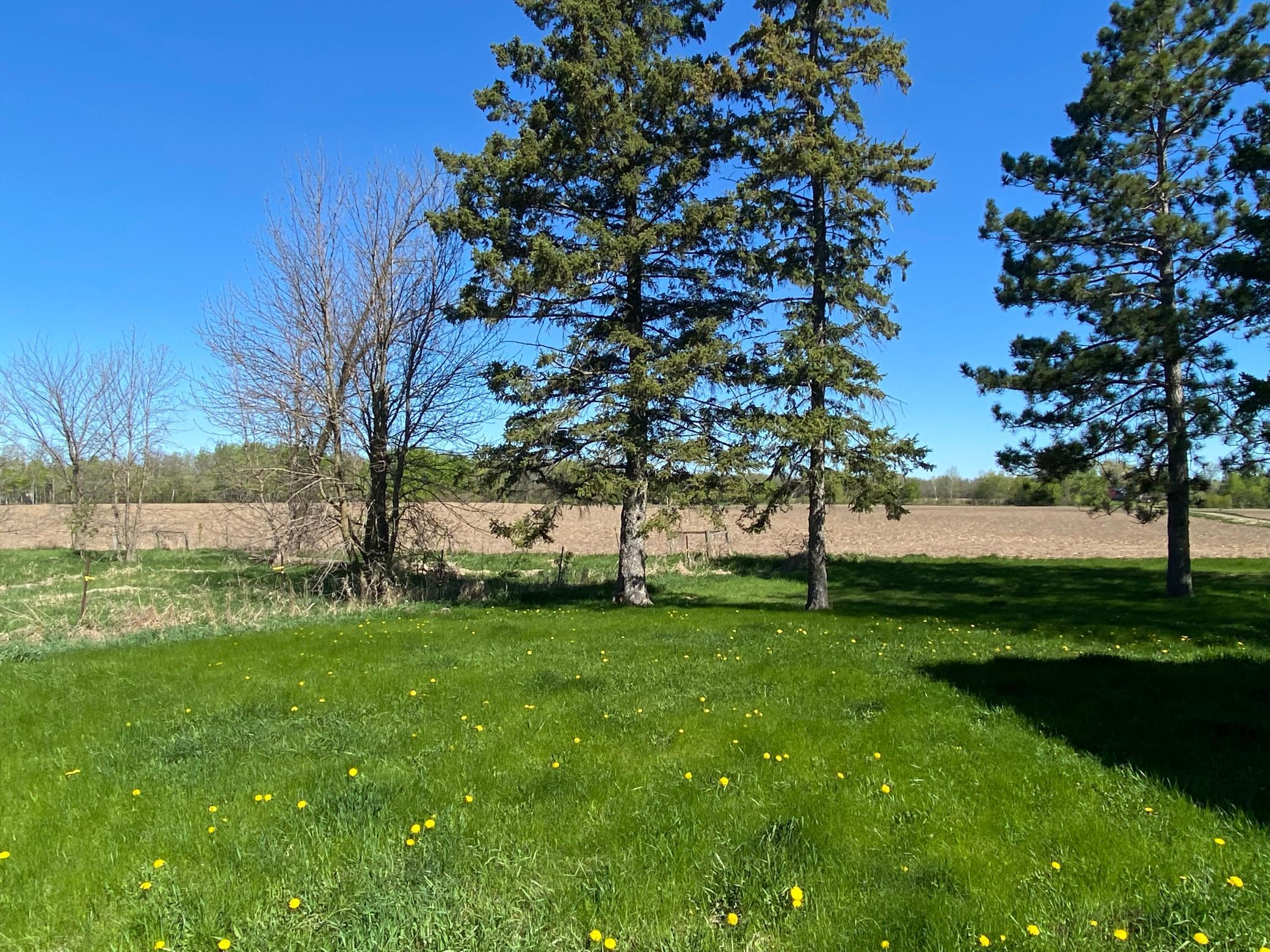 18890 55th Street Northeast Foley, MN 56357 - Photo 25 of 27