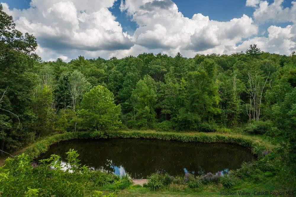686 Berme Road High Falls, NY 12440 - Photo 18 of 23 a view of a lake with a yard and trees in the background