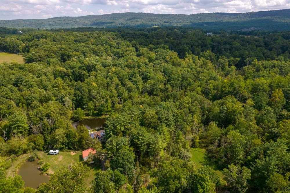 686 Berme Road High Falls, NY 12440 - Photo 20 of 23 a view of a lush green forest with lots of trees
