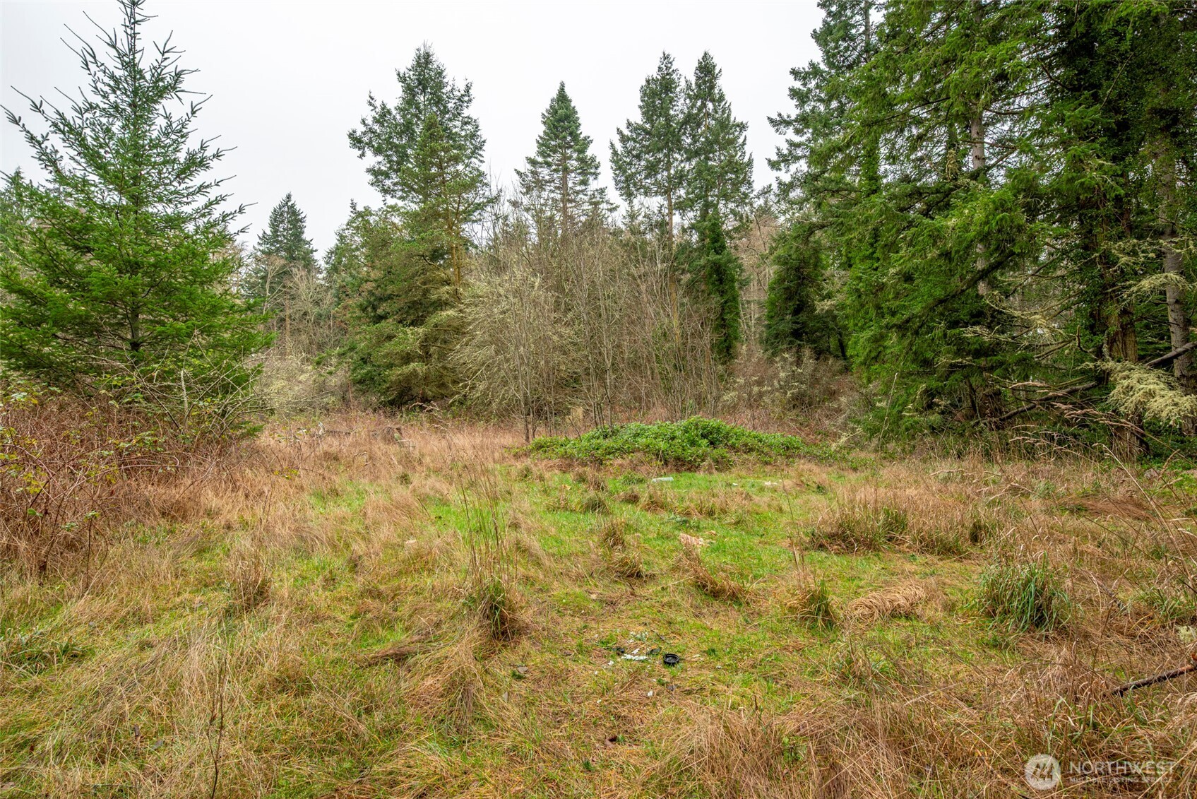 4117 Degraff Road Oak Harbor, WA 98277 - Photo 12 of 23