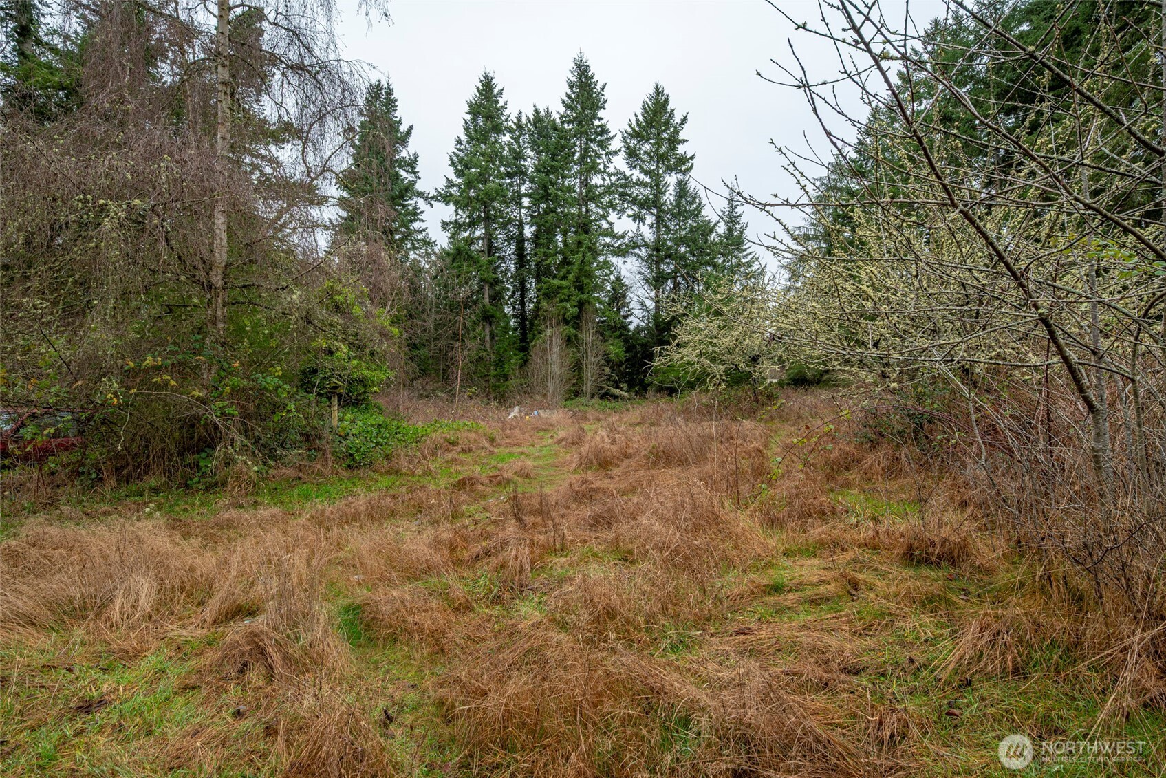 4117 Degraff Road Oak Harbor, WA 98277 - Photo 13 of 23