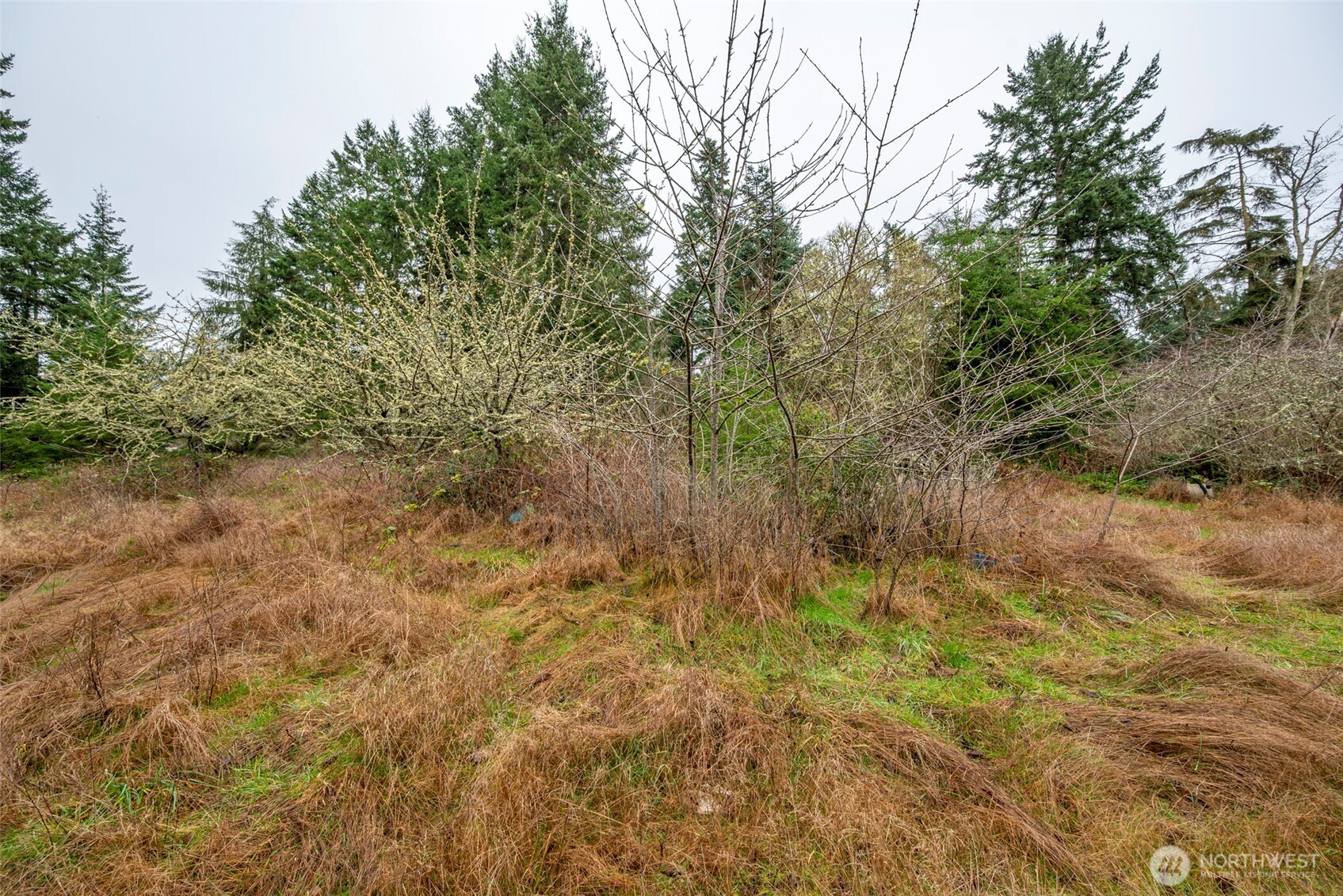 4117 Degraff Road Oak Harbor, WA 98277 - Photo 14 of 23