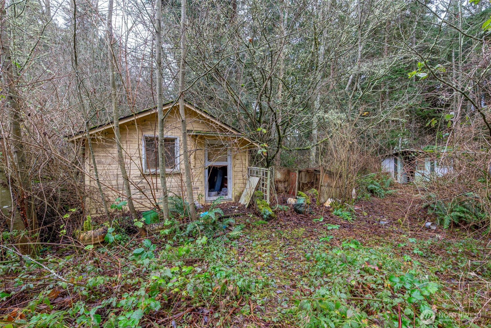 4117 Degraff Road Oak Harbor, WA 98277 - Photo 8 of 23