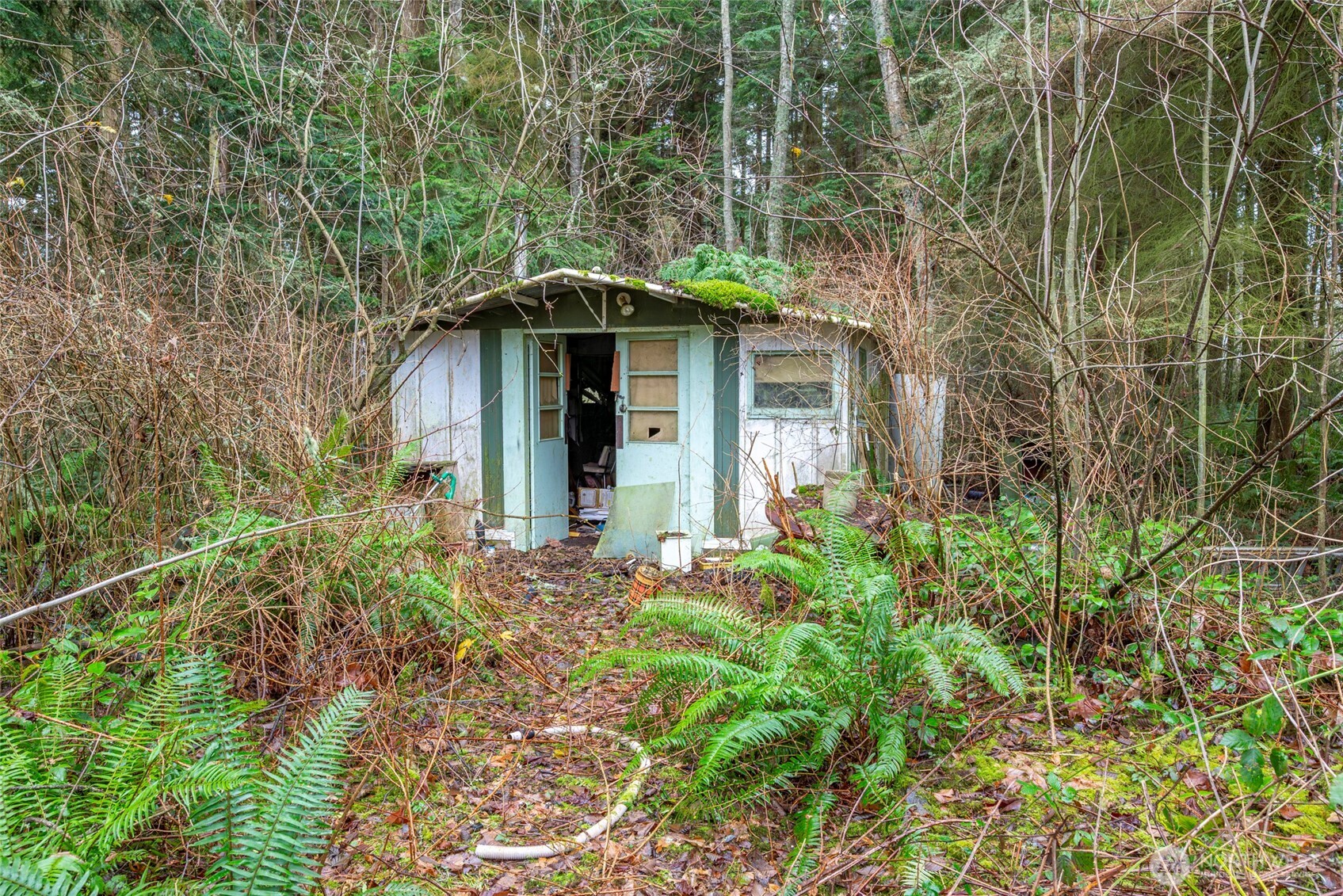 4117 Degraff Road Oak Harbor, WA 98277 - Photo 10 of 23