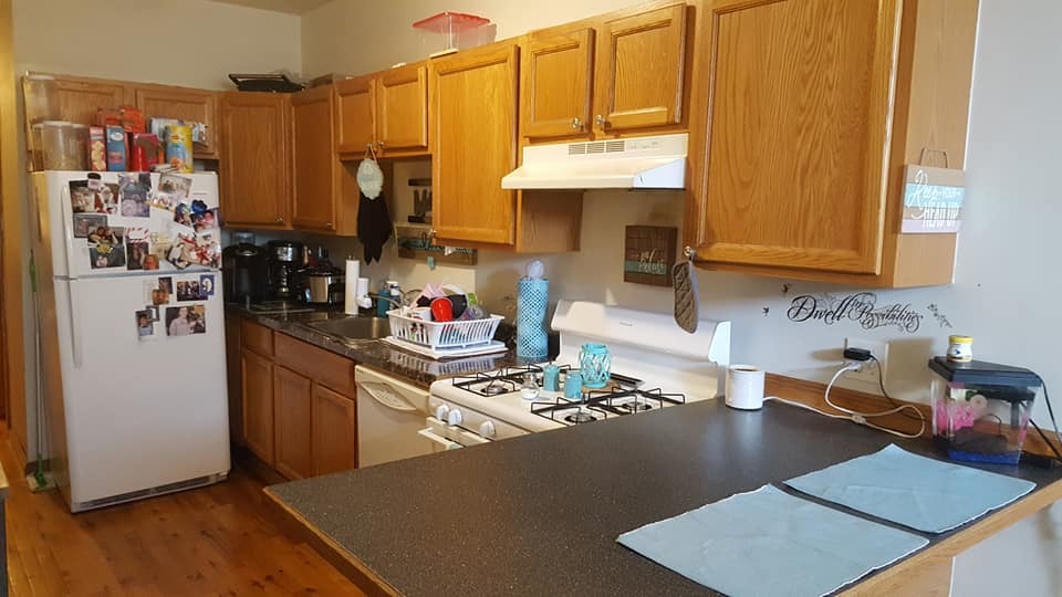 444 West 44th Street Chicago, IL 60609 - Photo 11 of 29