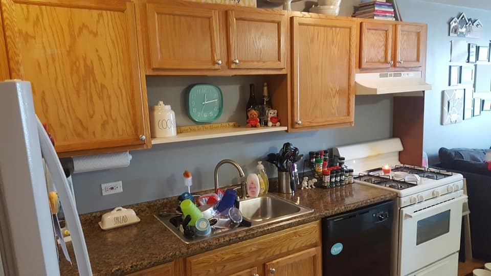 444 West 44th Street Chicago, IL 60609 - Photo 23 of 29