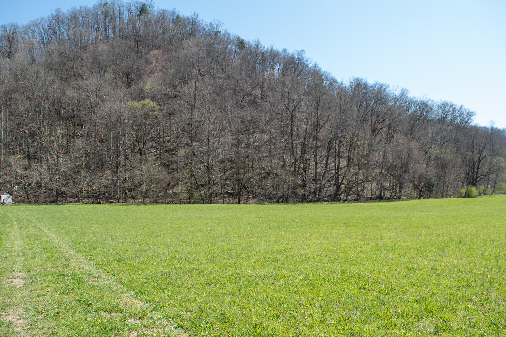 608 Wears Valley Road Townsend, TN 37882 - Photo 3 of 30 608 Wears Valley LQ-2