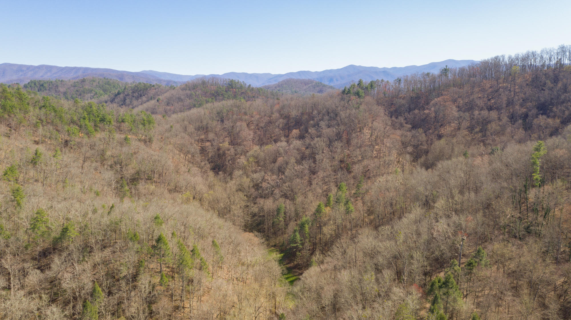 608 Wears Valley Road Townsend, TN 37882 - Photo 22 of 30 608 Wears Valley LQ-22