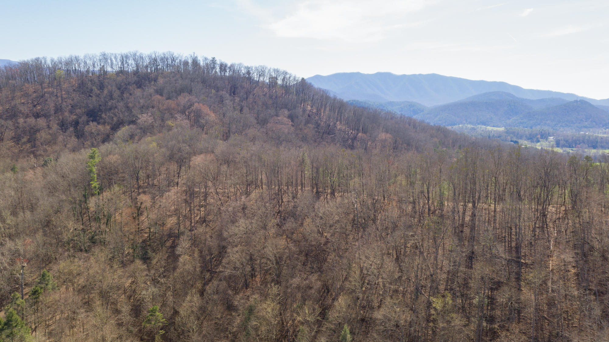 608 Wears Valley Road Townsend, TN 37882 - Photo 23 of 30 608 Wears Valley LQ-23