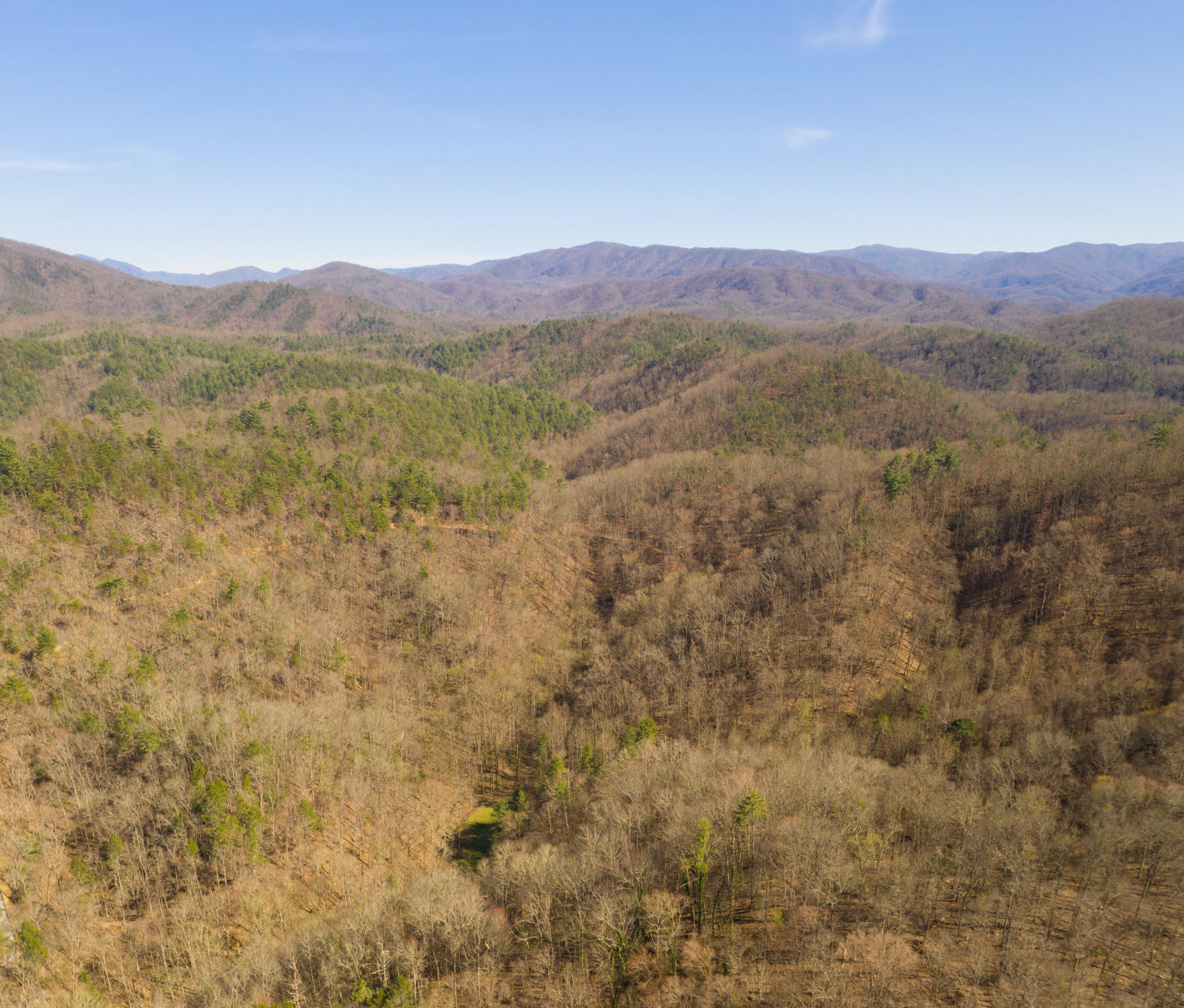 608 Wears Valley Road Townsend, TN 37882 - Photo 28 of 30 608 Wears Valley LQ-28