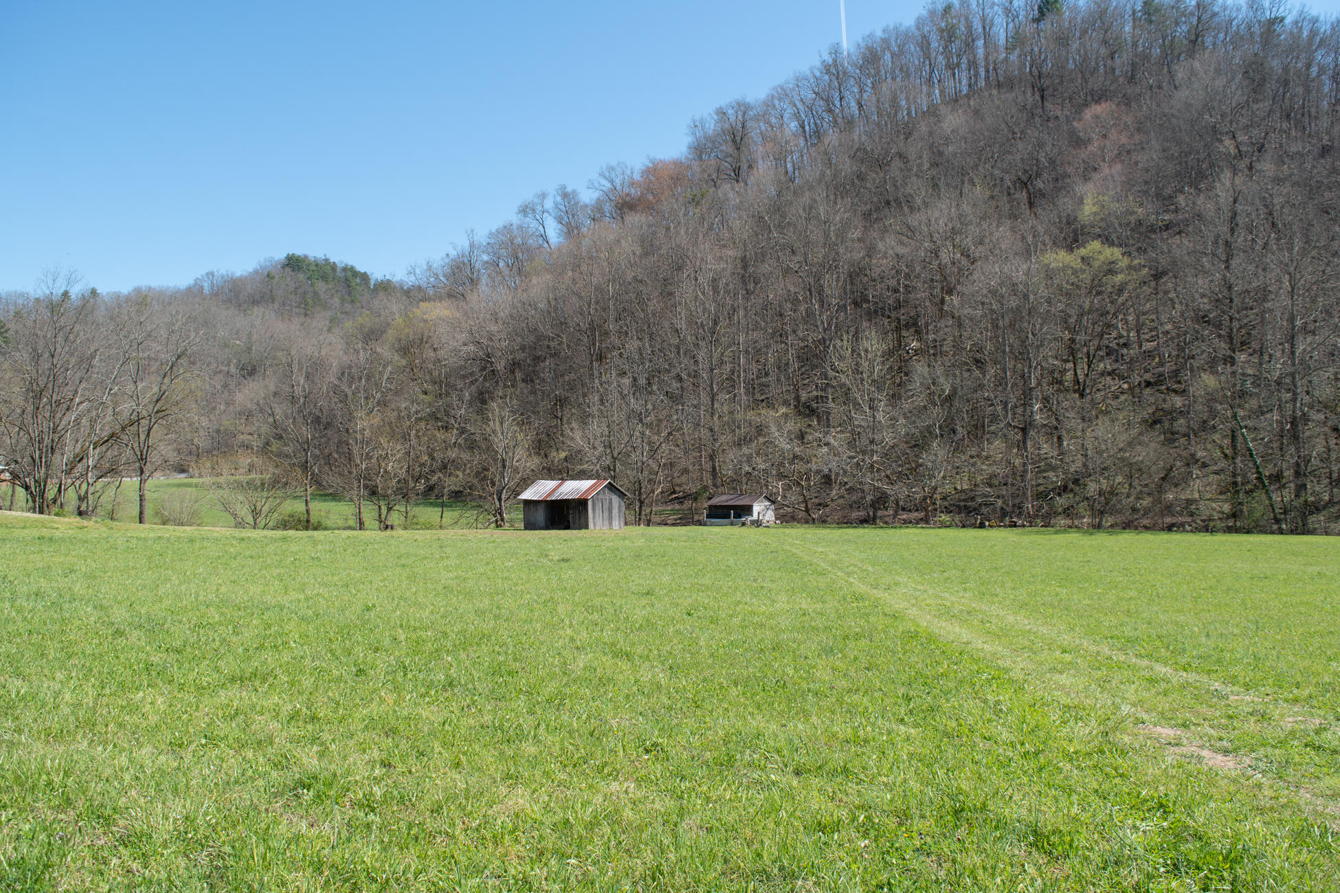 608 Wears Valley Road Townsend, TN 37882 - Photo 4 of 30 608 Wears Valley LQ-3