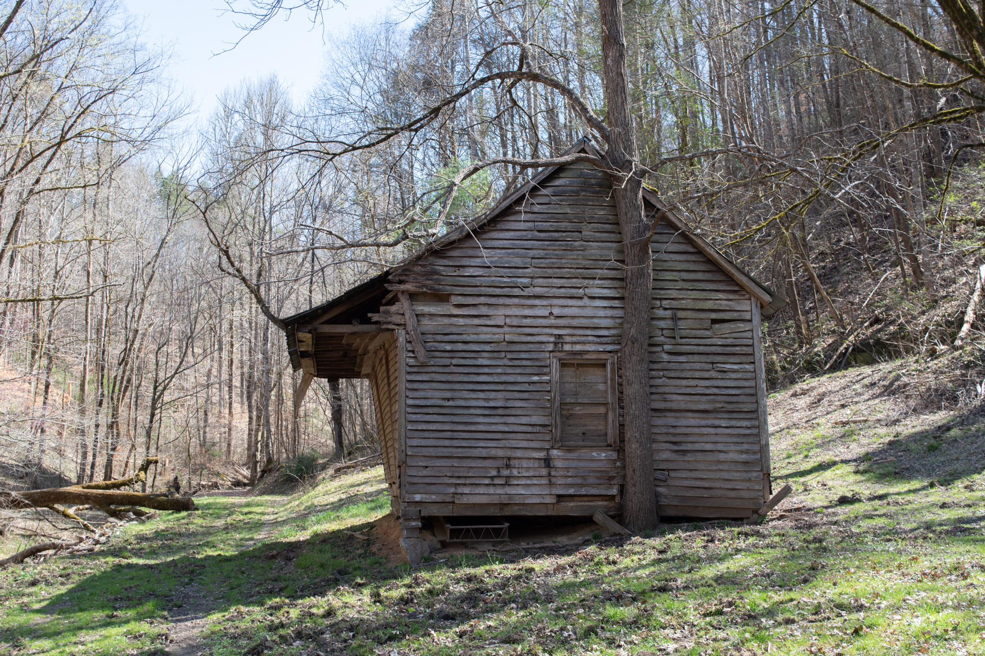 608 Wears Valley Road Townsend, TN 37882 - Photo 6 of 30 608 Wears Valley LQ-5