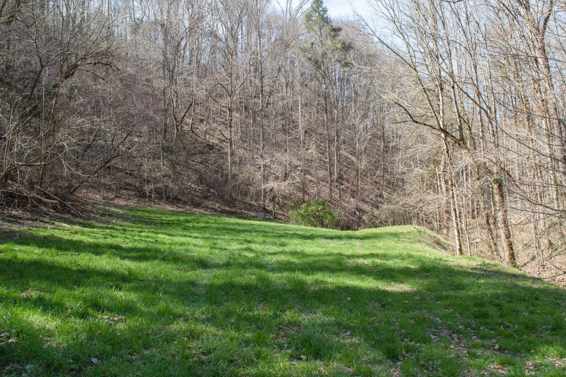 608 Wears Valley Road Townsend, TN 37882 - Photo 9 of 30 608 Wears Valley LQ-8