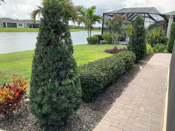 2261 Caravan Place Melbourne, FL 32901 - Photo 3 of 31