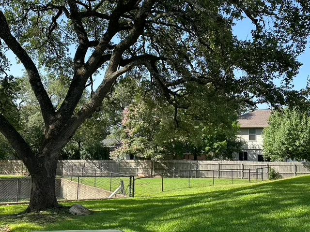a view of a house with a big yard and a large tree