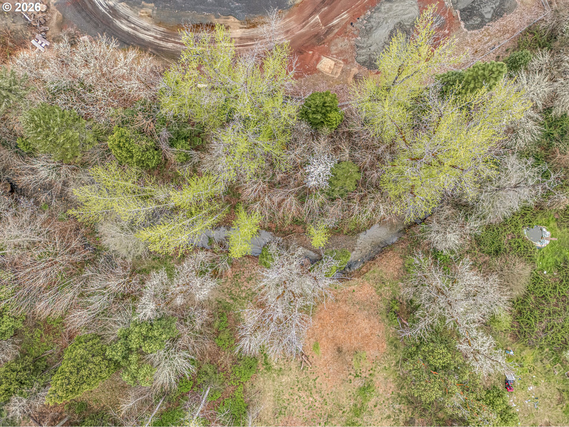 159 Bloom Road Wolf Creek, OR 97497 - Photo 13 of 44