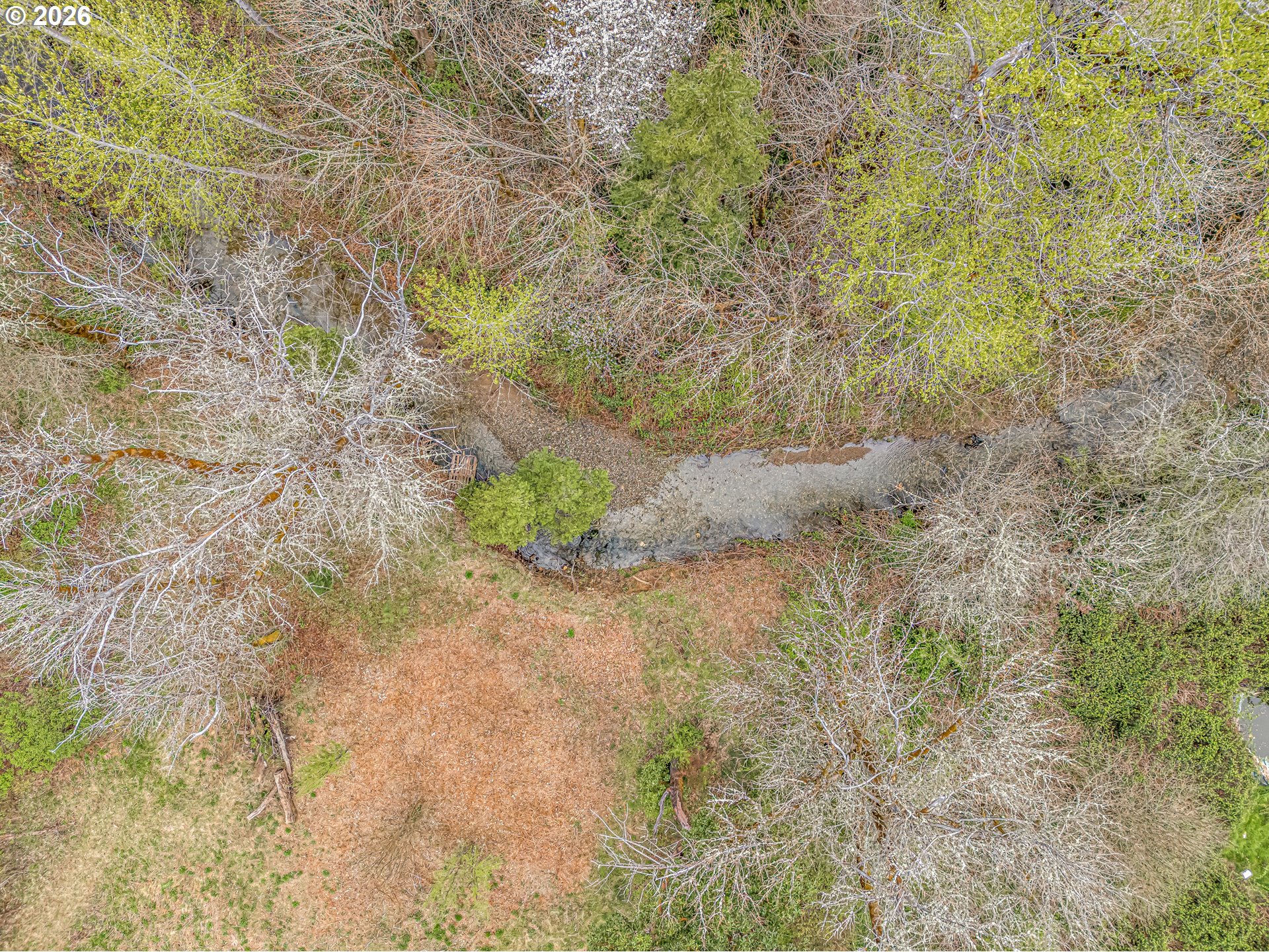 159 Bloom Road Wolf Creek, OR 97497 - Photo 14 of 44