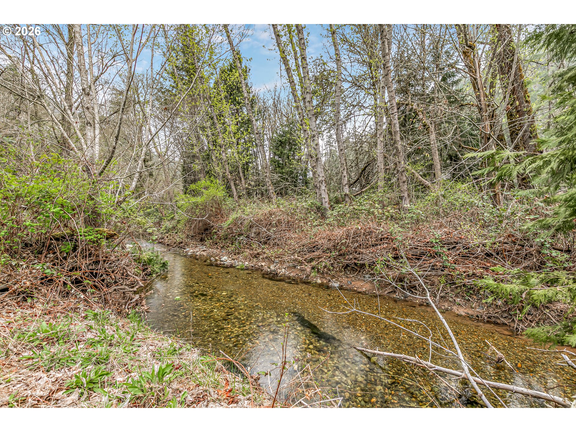 159 Bloom Road Wolf Creek, OR 97497 - Photo 31 of 44