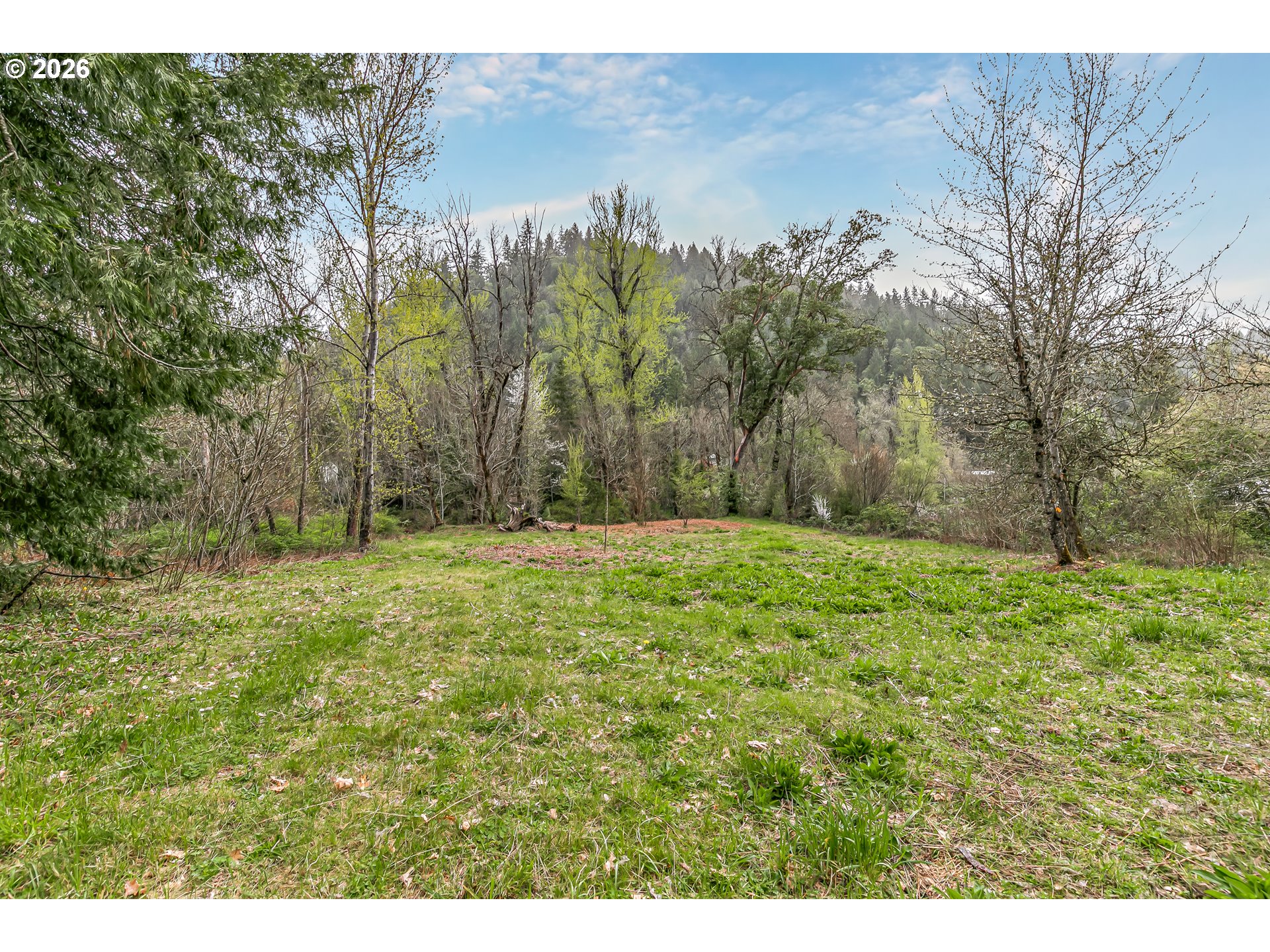 159 Bloom Road Wolf Creek, OR 97497 - Photo 34 of 44