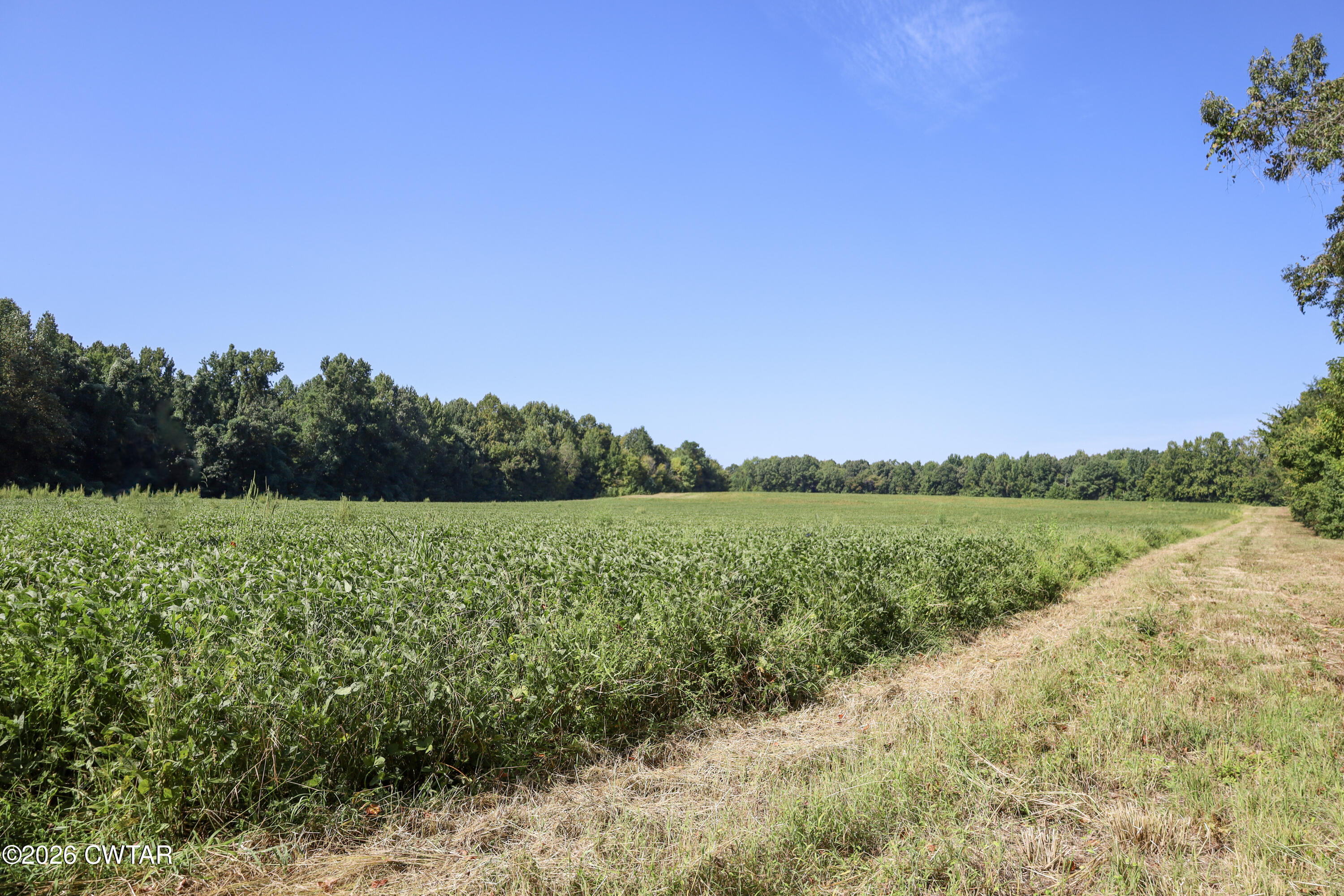 0 Betty Manley Road Jackson, TN 38301 - Photo 38 of 46 31-IMG_4935