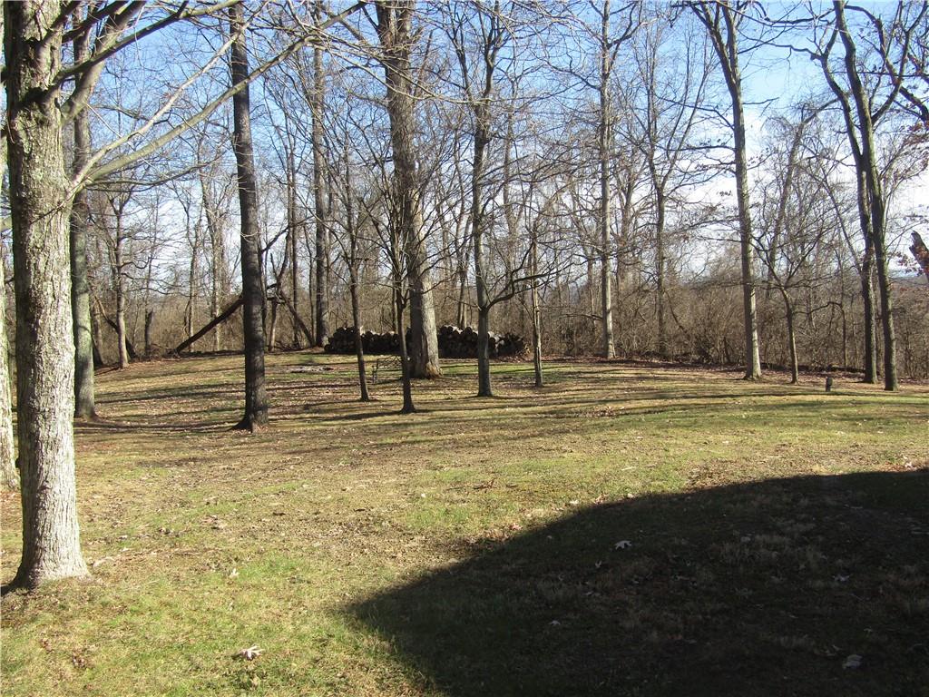 204 Castile Ridge Road Marianna, PA 15345 - Photo 15 of 17 a view of road with trees