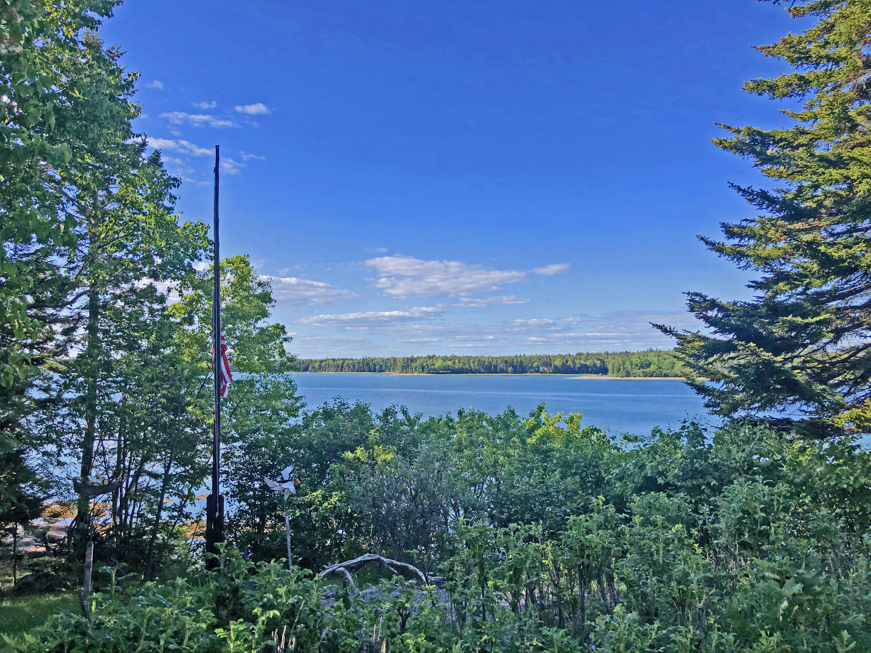 24 Wagner Road West Brooklin, ME 04616 - Photo 50 of 51 lawn view