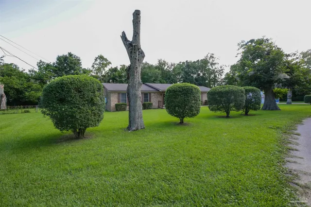 a view of a garden with a slide