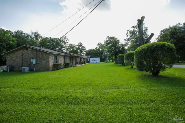 a view of a backyard with potted plants and large trees