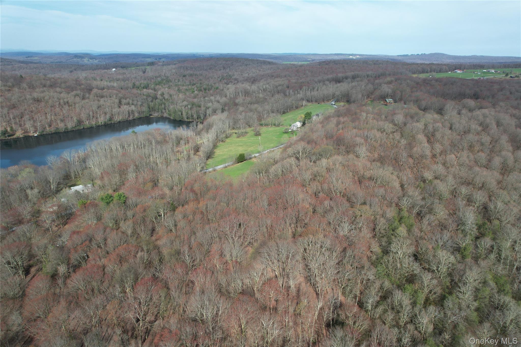 Tbd Stump Pond Road Livingston Manor, NY 12758 - Photo 1 of 12 a view of a lake with a mountain in the background