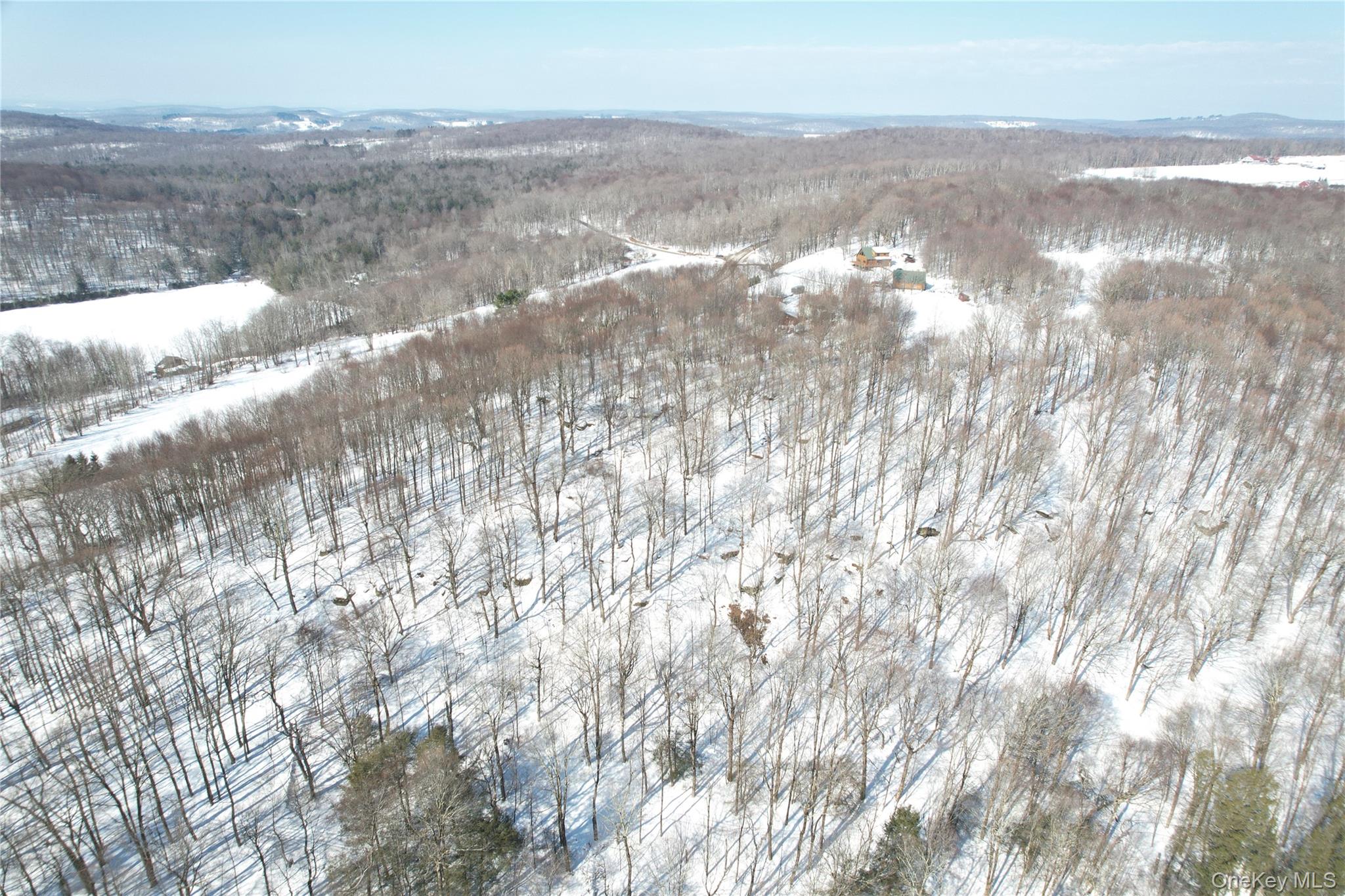 Tbd Stump Pond Road Livingston Manor, NY 12758 - Photo 3 of 12 a view of lake with mountain view