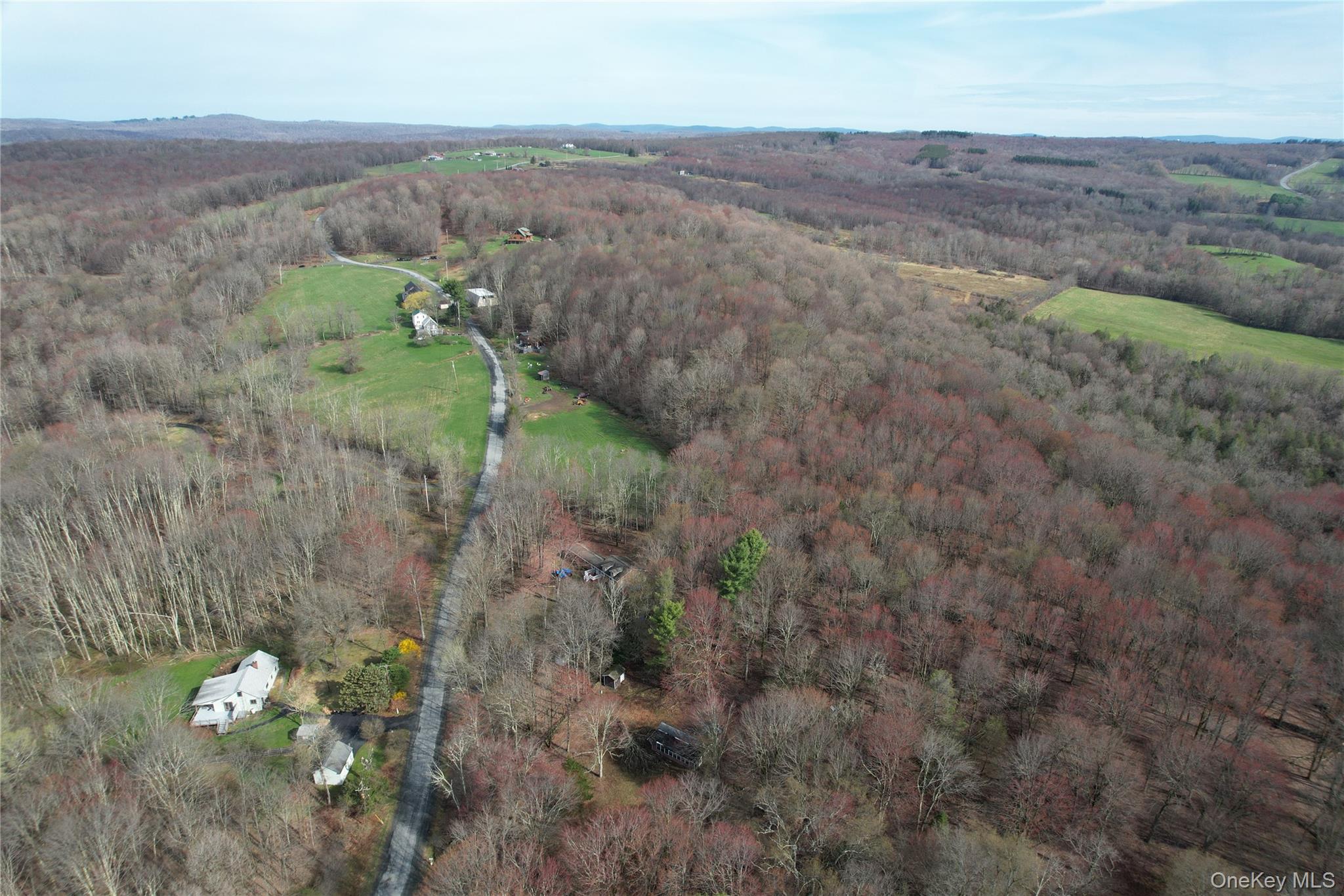 Tbd Stump Pond Road Livingston Manor, NY 12758 - Photo 3 of 12 a view of a city with lush green forest